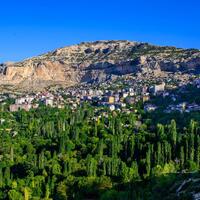 Genel Görünüm Galerisi