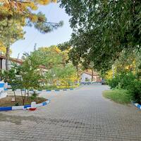 Genel Görünüm Galerisi