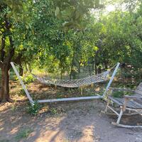 Genel Görünüm Galerisi