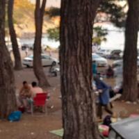 Aktivite Galerisi