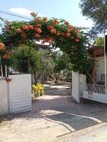 Genel Görünüm Galerisi