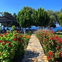 Bahçe & Oturma Alanları Galerisi