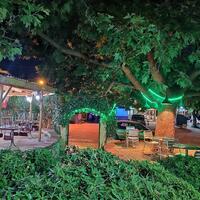Bahçe & Oturma Alanları Galerisi
