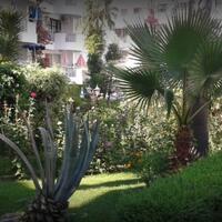 Genel Görünüm Galerisi