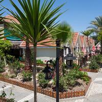 Genel Görünüm Galerisi