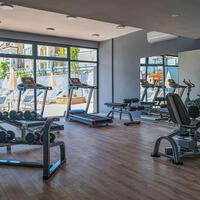 Spor Galerisi