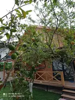 Bahçe & Oturma Alanları Galerisi