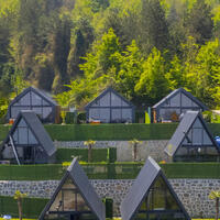 Genel Görünüm Galerisi