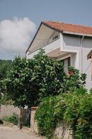 Genel Görünüm Galerisi