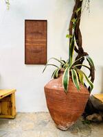 Bahçe & Oturma Alanları Galerisi