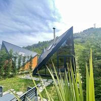 Genel Görünüm Galerisi