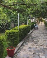 Bahçe & Oturma Alanları Galerisi
