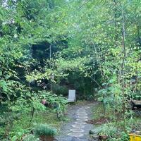 Genel Görünüm Galerisi