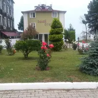 Genel Görünüm Galerisi