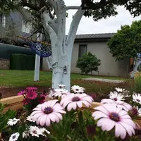 Bahçe & Oturma Alanları Galerisi