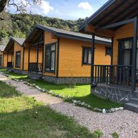 Genel Görünüm Galerisi