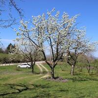 Bahçe & Oturma Alanları Galerisi