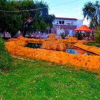 Bahçe & Oturma Alanları Galerisi