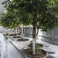 Bahçe & Oturma Alanları Galerisi
