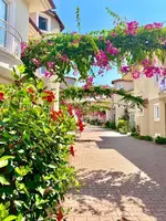 Genel Görünüm Galerisi