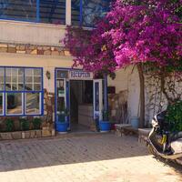 Genel Görünüm Galerisi