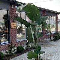 Restoran Galerisi