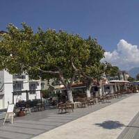 Genel Görünüm Galerisi