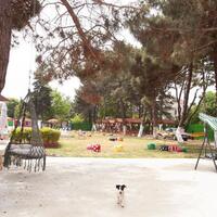 Bahçe & Oturma Alanları Galerisi