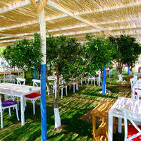 Bahçe & Oturma Alanları Galerisi