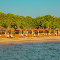 Genel Görünüm Galerisi