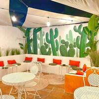 Bahçe & Oturma Alanları Galerisi