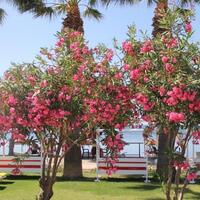 Bahçe & Oturma Alanları Galerisi