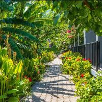 Genel Görünüm Galerisi