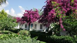 Blue White Hotel