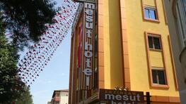 Mesut Hotel Erzincan