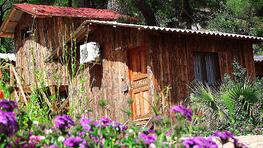 Şaban Tree Houses