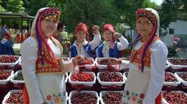 Tekirdağ Kiraz Festivali