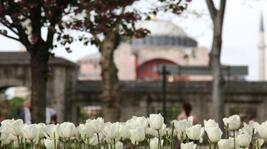 İlkbaharda Gidebileceğiniz En Güzel İstanbul Parkları