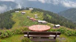 Rize'nin Bol Oksijenli Atmosferi: Pokut Yaylası Hakkında Her Şey