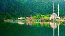 Doğa Tutkunlarına Özel Bir Rota: Uzungöl