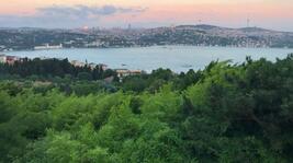 İstanbul’da Ormanlara Giriş Yasağı Başladı mı? Nereler Yasak?