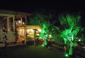 Three Palms Suites