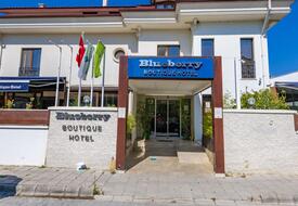 Blueberry Boutique Hotel