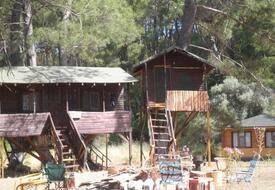 Olympos Woods