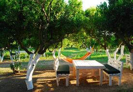 Bodrum Ecofarm