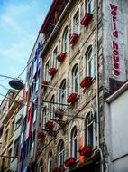 World House Hostel