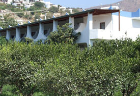 Bal Mahmut Aslı Motel