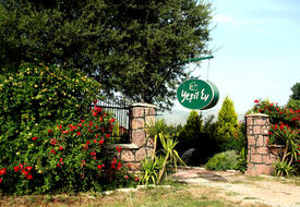 Yeşil Ev Kır Evi