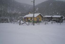 Ağva Tree House