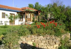 The Gallipoli Houses